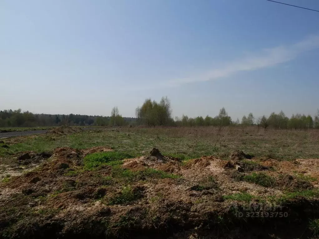 Участок в Московская область, Дмитровский муниципальный округ, пос. ... - Фото 2