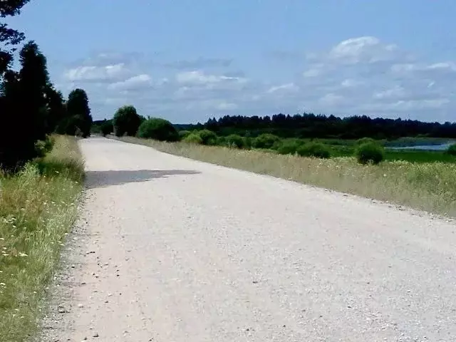 Участок в Псковская область, Островский район, Горайская волость, д. ... - Фото 1