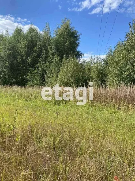 Участок в Вологодская область, Усть-Кубинский муниципальный округ, д. ... - Фото 1