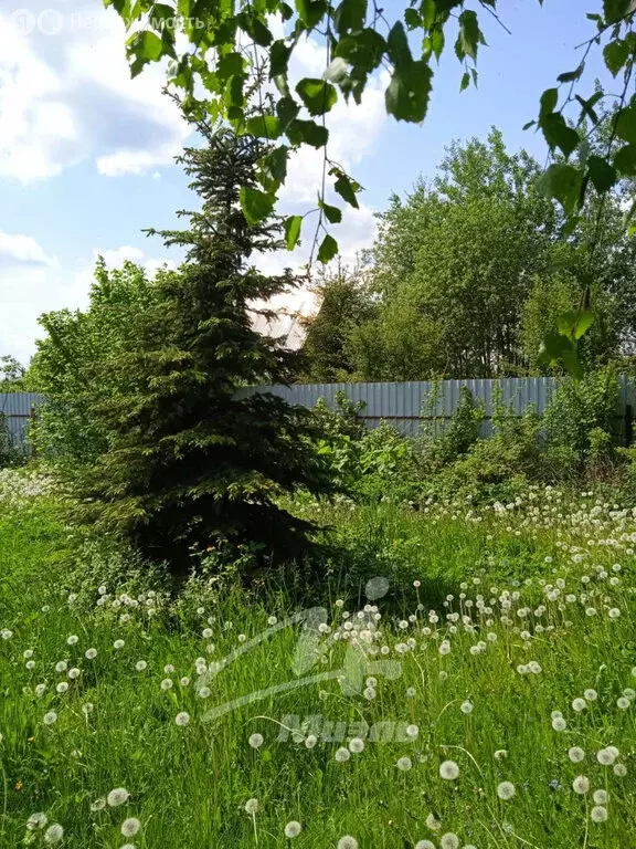 участок в богородский городской округ, а-107, горьковско-егорьевский . - Фото 0