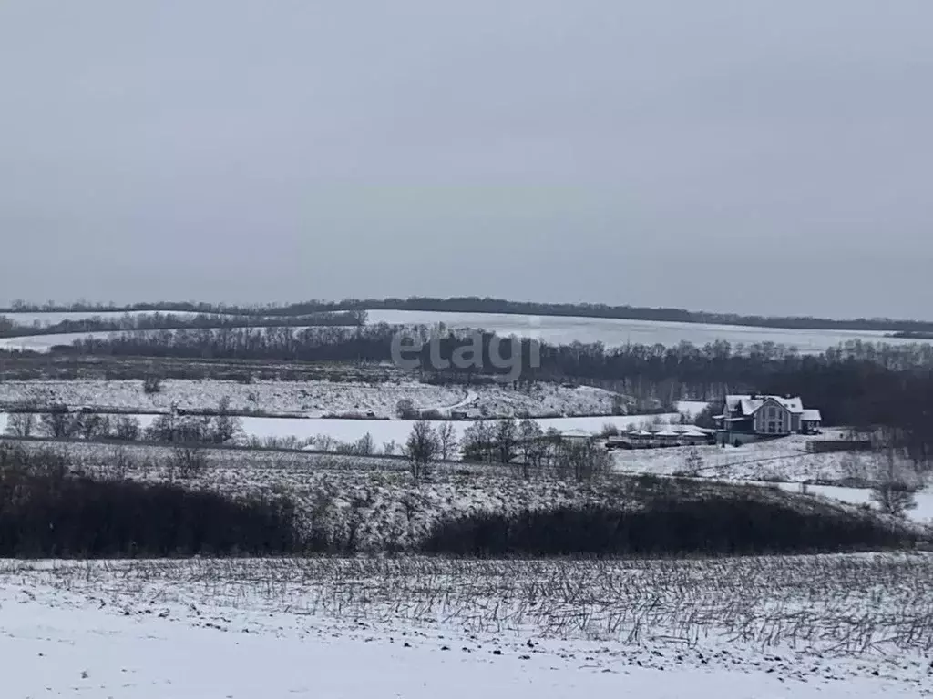 Участок в Белгородская область, Белгородский район, Головинское с/пос, ... - Фото 1