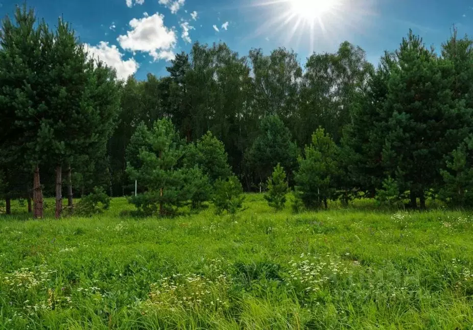 Участок в Ленинградская область, Лужский район, Серебрянское с/пос, д. ... - Фото 1