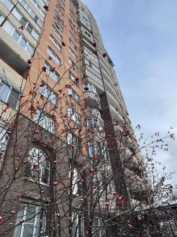 1-к кв. Московская область, Люберцы городской округ, Октябрьский пгт ... - Фото 2