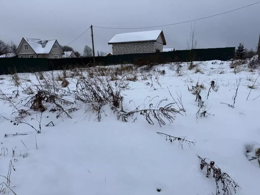 Участок в Московская область, Пушкинский городской округ, д. Никулино  ... - Фото 1