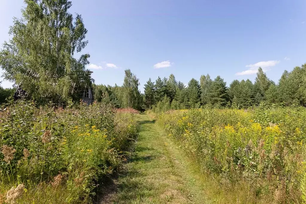 Участок в Владимирская область, Владимир сад Заречье, 127 (10.0 сот.) - Фото 1