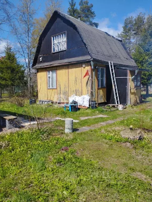 Участок в Ленинградская область, Кировский район, Мгинское городское ... - Фото 1