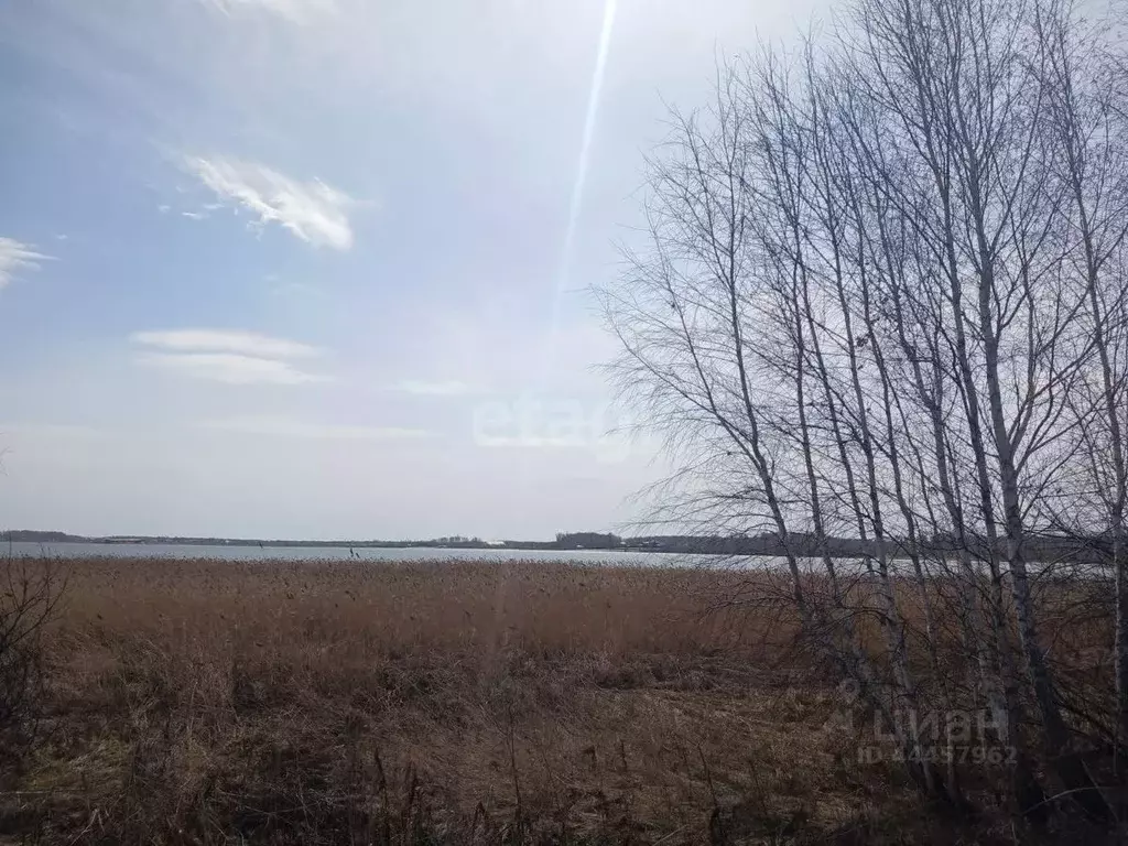 Участок в Челябинская область, Сосновский район, с. Кременкуль  (12.0 ... - Фото 0