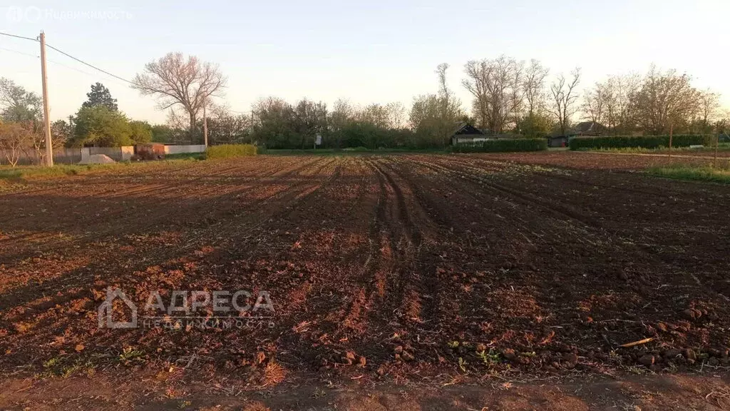 Участок в Азовский район, Задонское сельское поселение, хутор ... - Фото 1