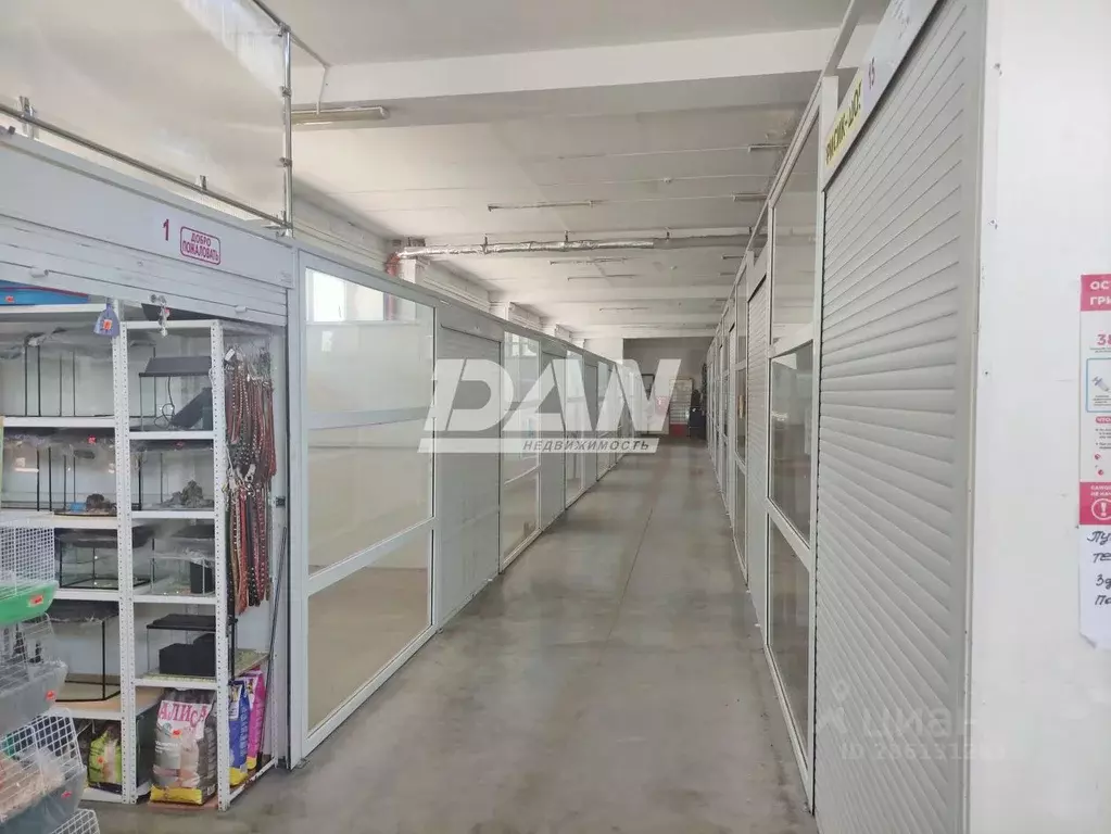 Торговая площадь в Челябинская область, Челябинск ул. Первой ... - Фото 1