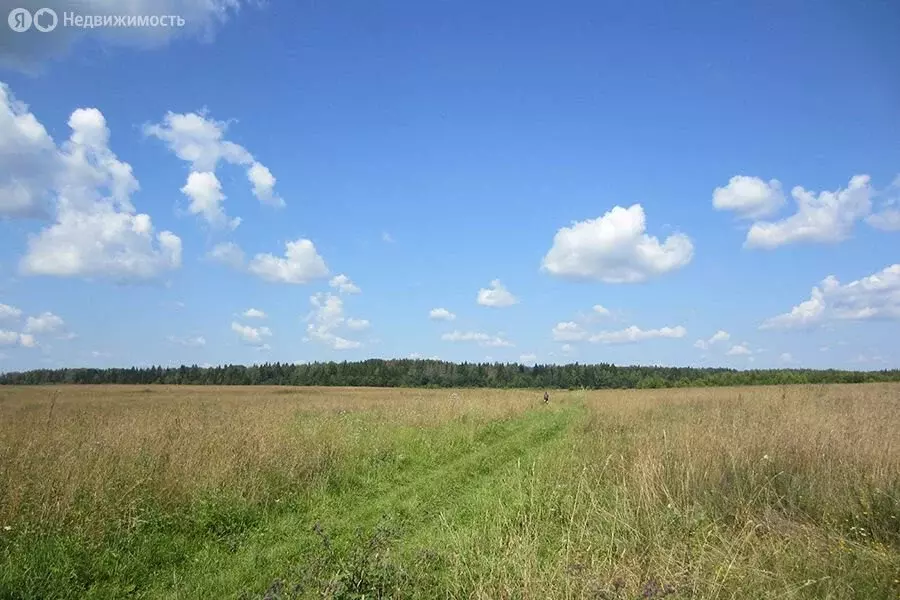 Участок в Тюмень, территория СОСН Автоприбор, Малиновая улица (8 м) - Фото 0