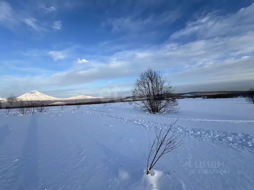 Участок в Камчатский край, Елизовский муниципальный округ, Таежный-2 ... - Фото 2