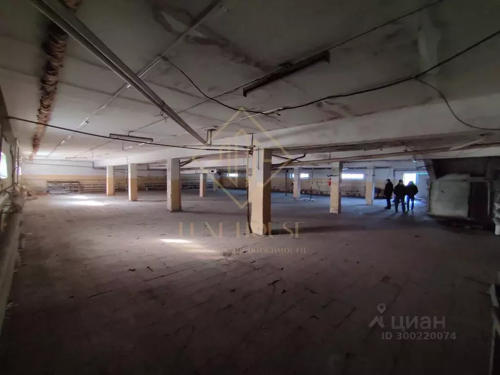 Помещение свободного назначения в Иркутская область, Иркутск Полярная ... - Фото 1