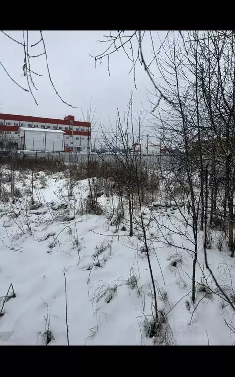 Участок в Московская область, Раменский муниципальный округ, с. ... - Фото 2