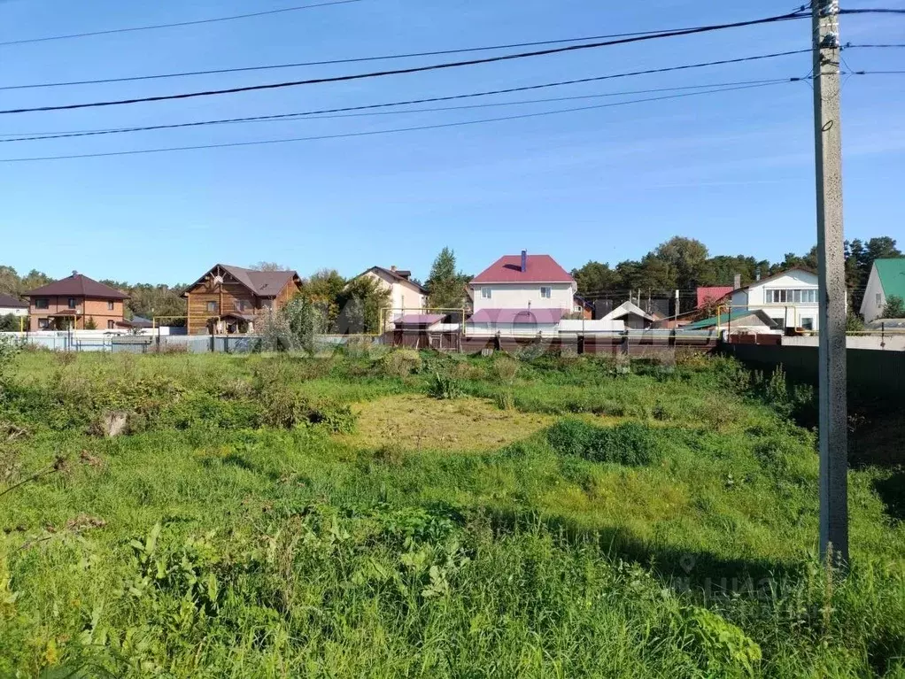 Участок в Новосибирская область, Новосибирский район, Кудряшовский ... - Фото 2