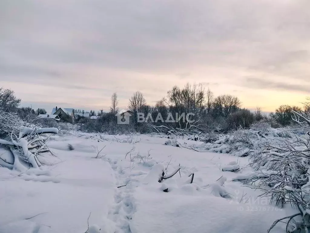 Участок в Ленинградская область, Выборгский район, Рощинское городское ... - Фото 1