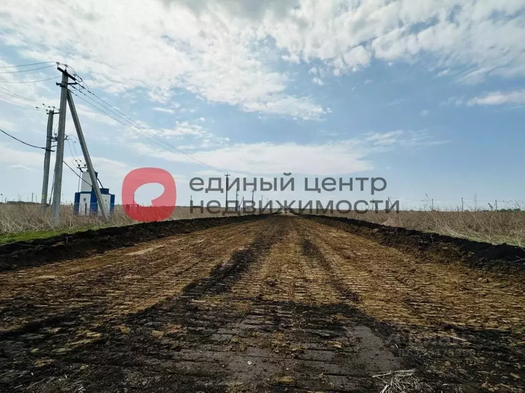 Участок в Тюменская область, Тюменский муниципальный округ, д. Большие ... - Фото 1