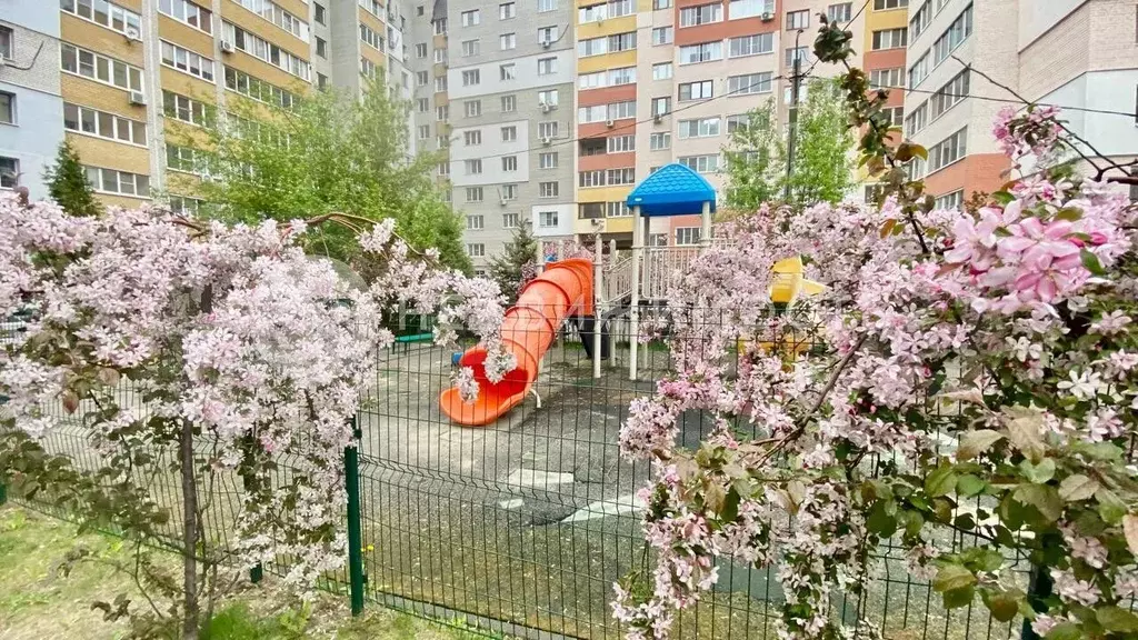 1-к. квартира, 55,2 м, 7/10 эт. - Фото 1