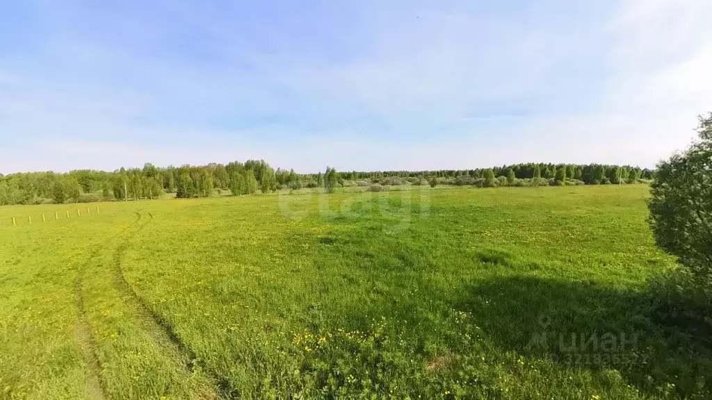 Участок в Тюменская область, Тюменский муниципальный округ, д. Речкина ... - Фото 1