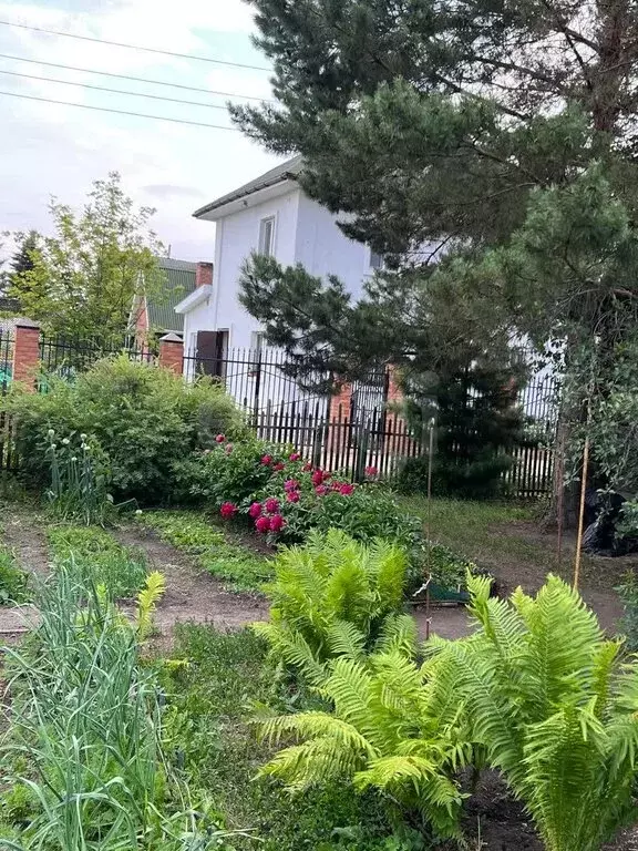Дом в Омск, территория Иртышские Зори (40 м) - Фото 0
