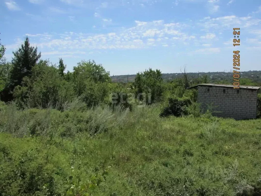 Участок в Волгоградская область, Волгоград Мичуринец СНТ, 74 (15.0 ... - Фото 1