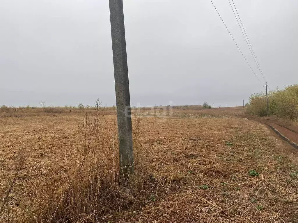 Участок в Белгородская область, Белгородский район, Северный городское ... - Фото 1