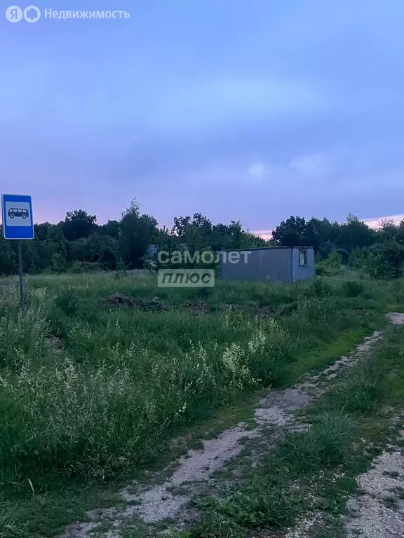 Участок в Липецкая область, Задонский муниципальный округ, село Казино ... - Фото 1