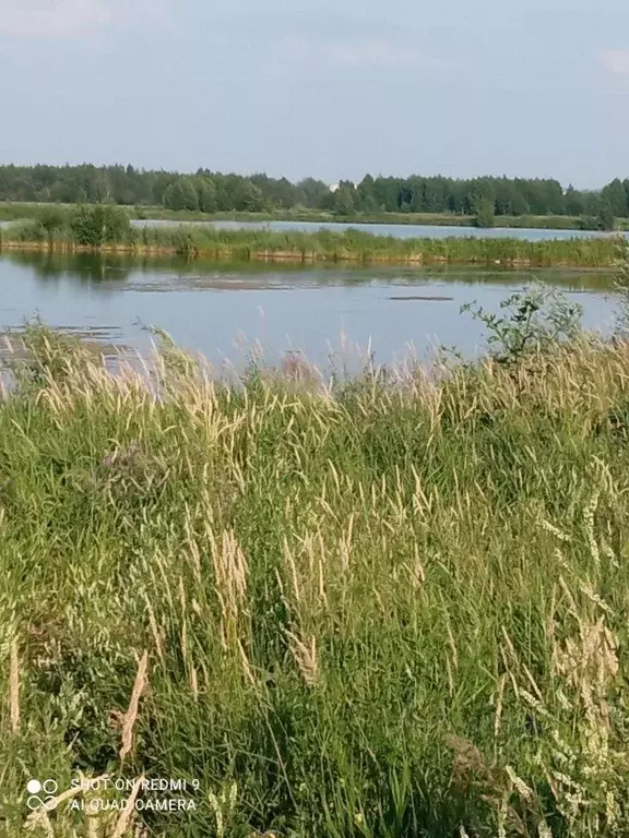 Участок, 15 сот., поселения (ижс) - Фото 1