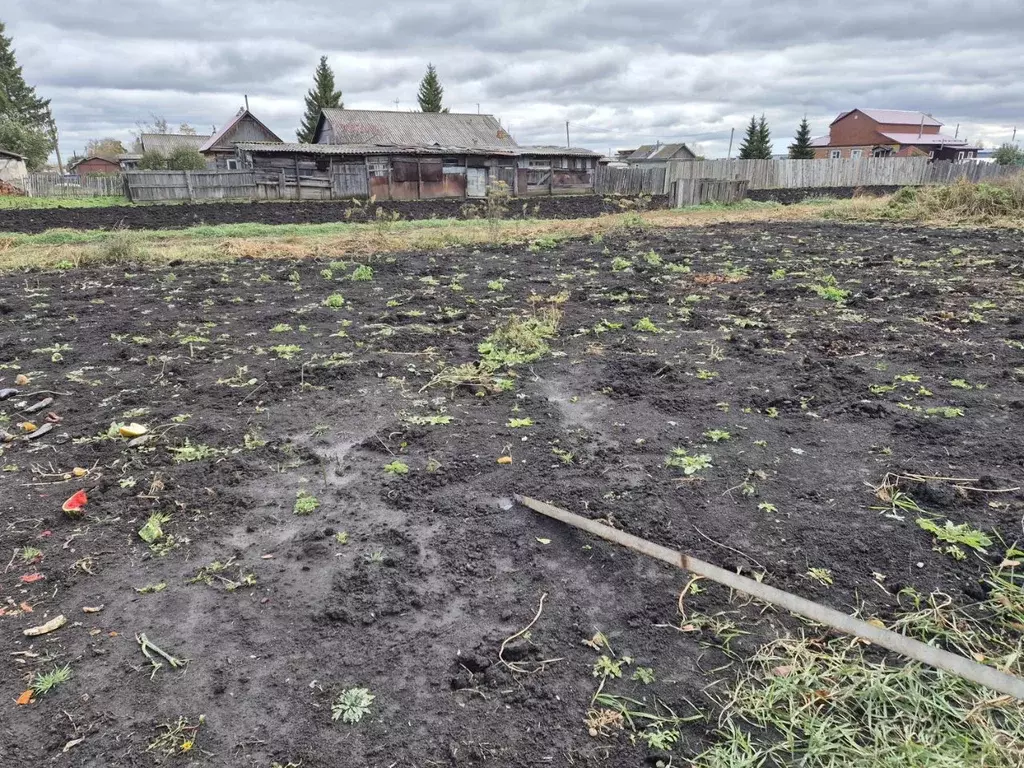 3-к кв. Омская область, Калачинский район, Осокинское с/пос, с. ... - Фото 2