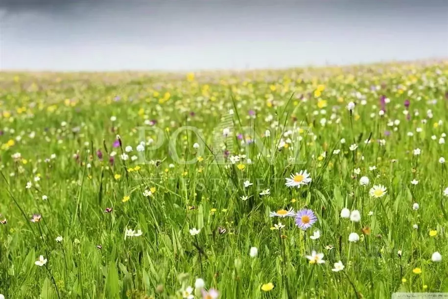 Участок в Московская область, Одинцовский городской округ, Изумрудный ... - Фото 0