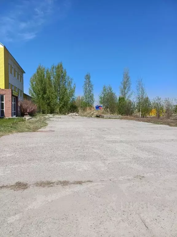 Помещение свободного назначения в Алтайский край, Барнаул Звездная ... - Фото 1