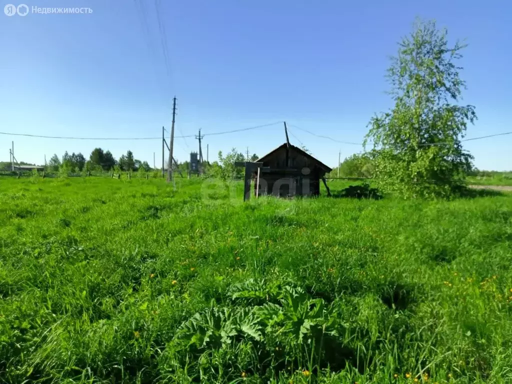 Участок в Сыктывкар, территория Дырносский, СНТ Черёмушки (5.1 м) - Фото 1