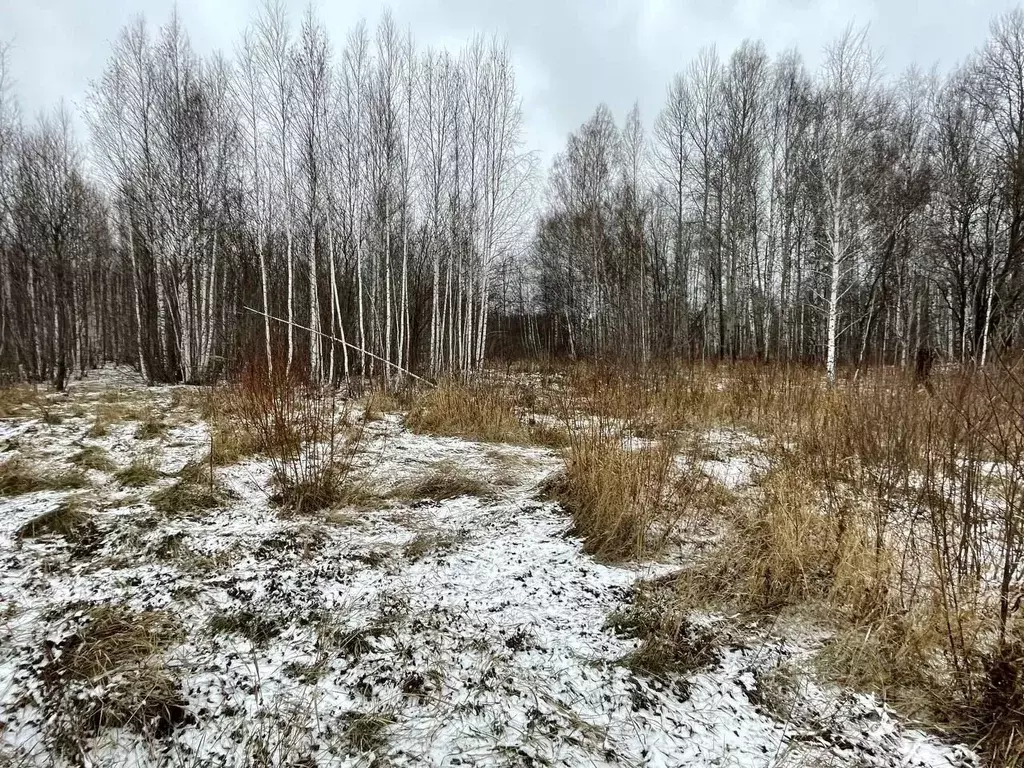 Участок в Тюменская область, Тюменский район, с. Горьковка Сибирская ... - Фото 1