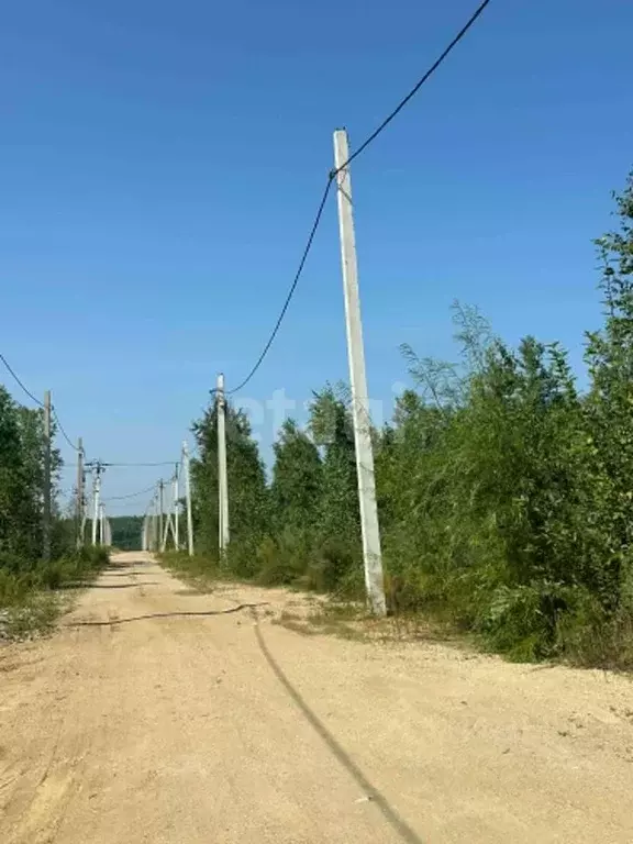 Участок в Амурская область, Благовещенский район, с. Чигири  (8.2 ... - Фото 0