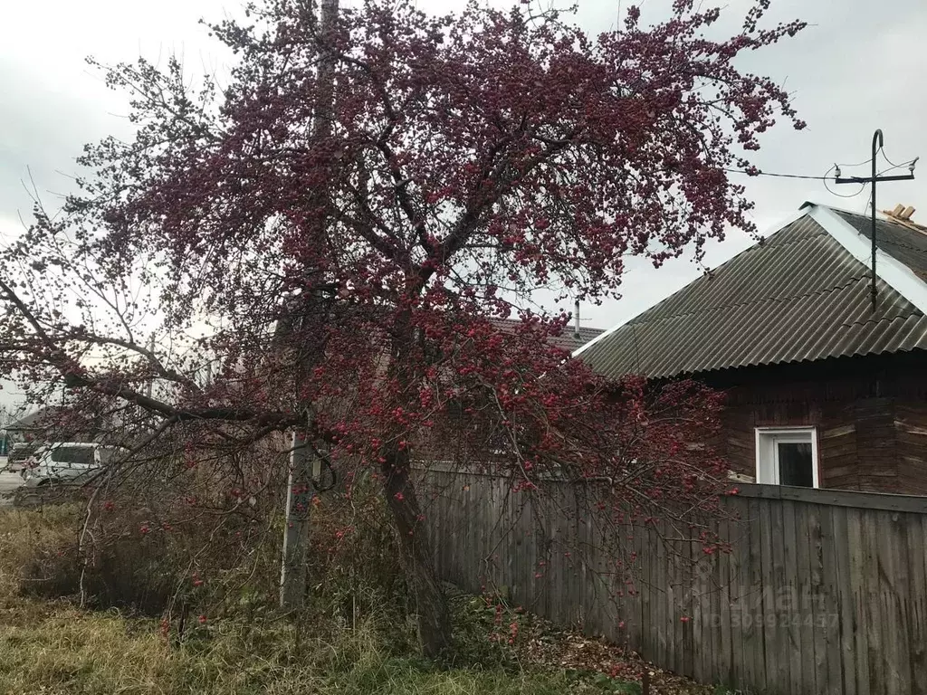 Дом в Алтайский край, Рубцовск Енисейская ул. (50 м) - Фото 0