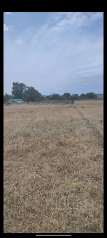 Участок в Ростовская область, Волгодонской район, Романовское с/пос, ... - Фото 1