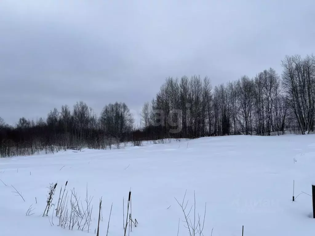 Участок в Вологодская область, Череповецкий район, д. Циково, СНТ ... - Фото 2