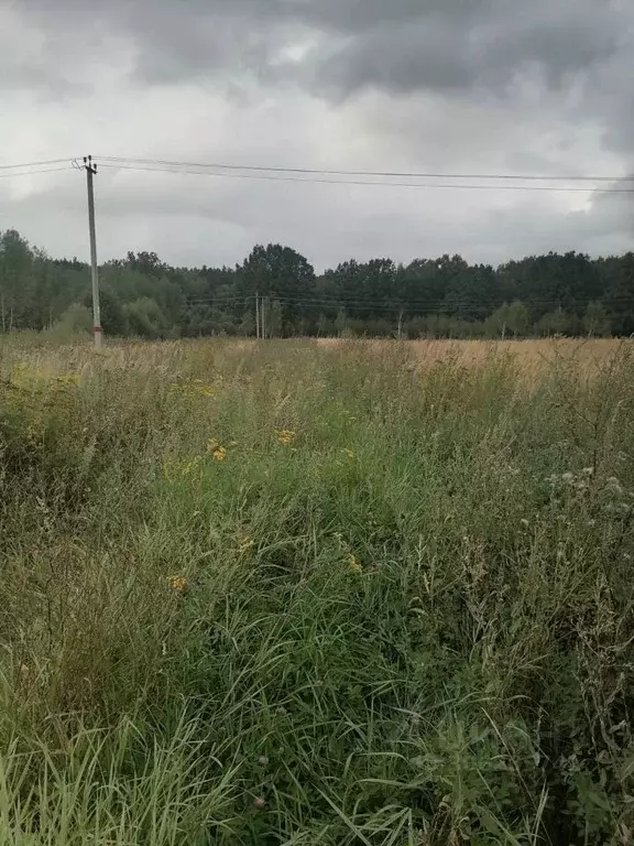 Участок в Московская область, Коломна городской округ, д. Губастово  ... - Фото 1