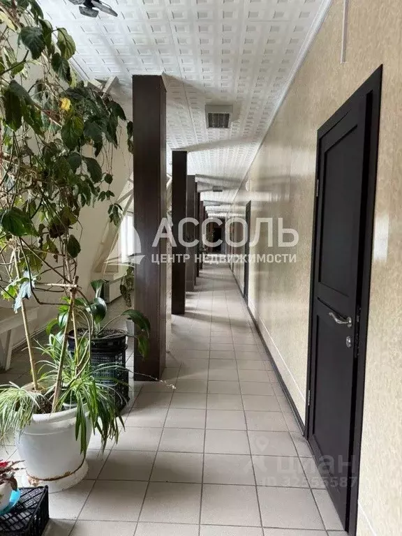 Офис в Омская область, Омск ул. Кирова, 49/2 (16 м) - Фото 2