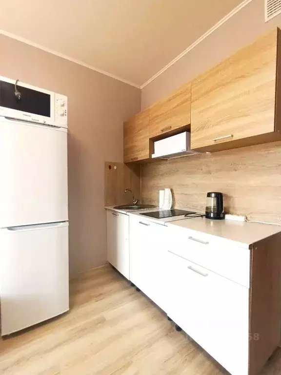 Студия Санкт-Петербург пос. Шушары, просп. Старорусский, 13к1 (20.4 м) - Фото 2
