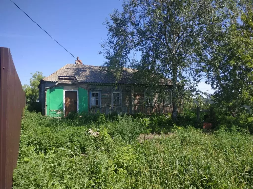 Дом в Тамбовская область, Тамбовский муниципальный округ, с. Лысые ... - Фото 1