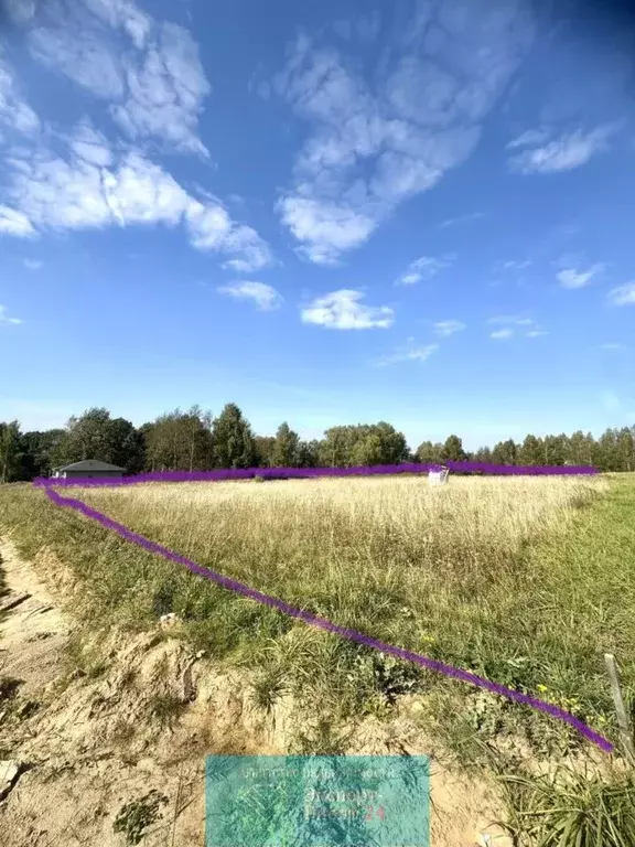 Участок в Московская область, Дмитровский муниципальный округ, с. ... - Фото 2