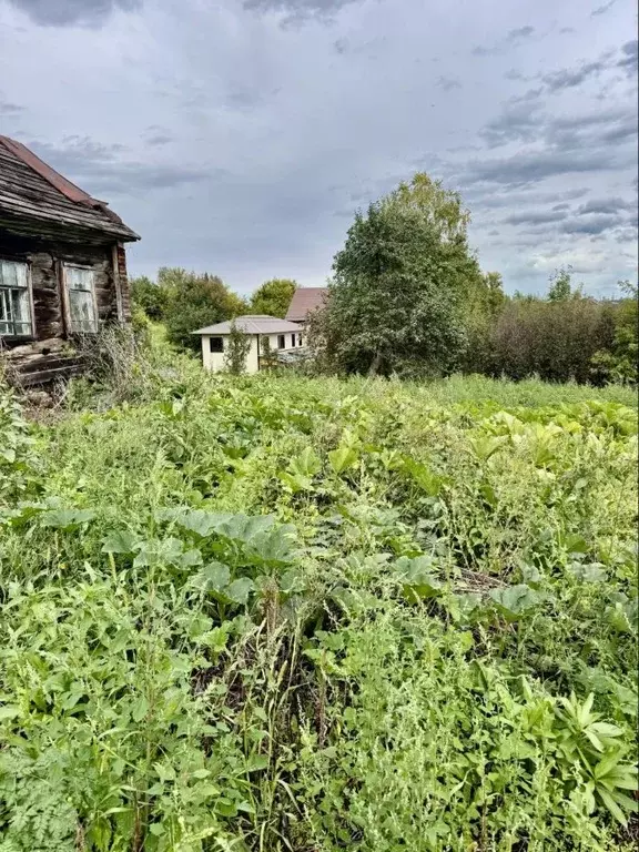 Участок в Алтайский край, Белокуриха Садовая ул., 47/1А (18.0 сот.) - Фото 2