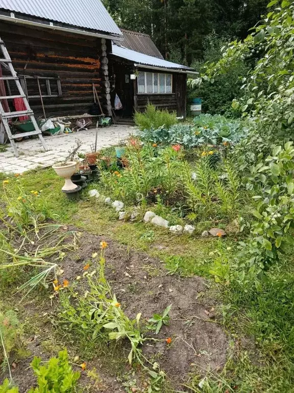 Дом в Кировская область, Киров городской округ, Заречное СДТ  (70 м) - Фото 2