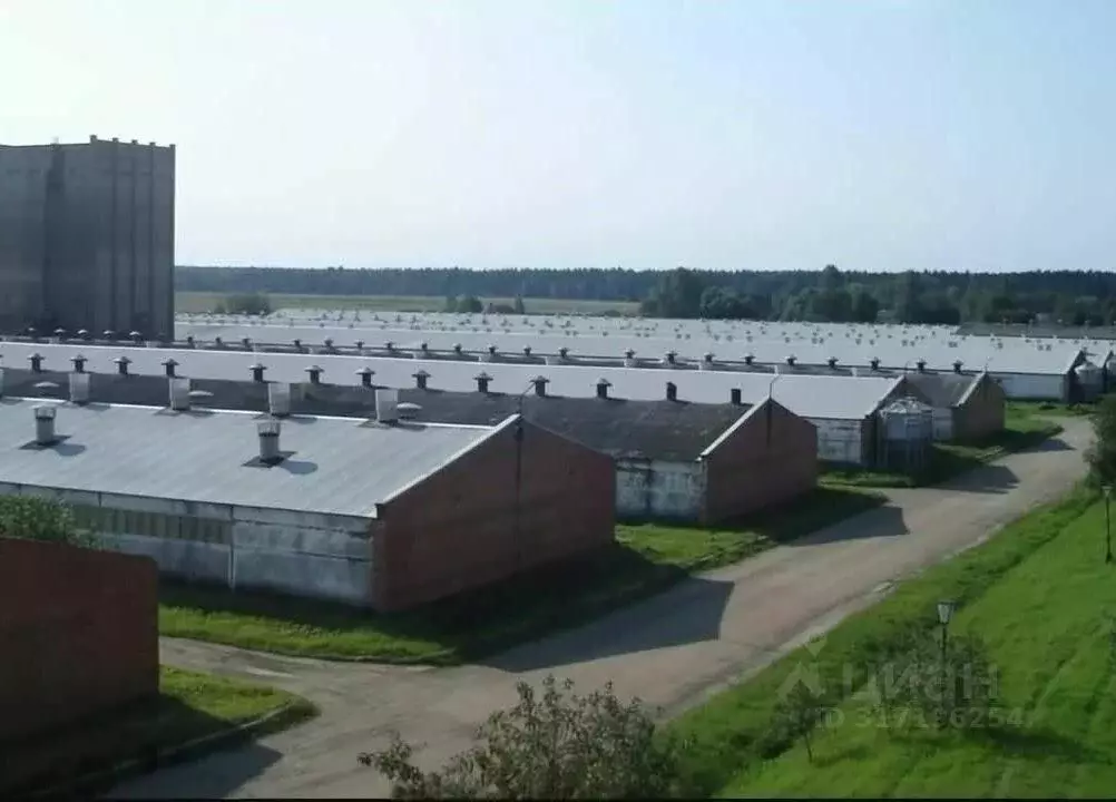 Склад в Москва д. Кузнецово,  (28000 м) - Фото 0