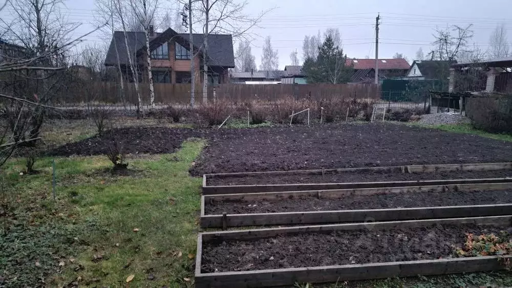 Участок в Санкт-Петербург, Санкт-Петербург, Павловск Павловское-2 СНТ, ... - Фото 1