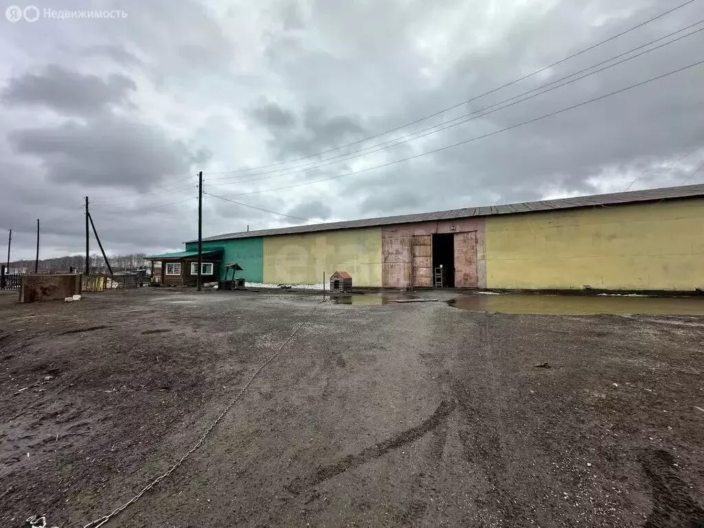 Участок в Репьевский сельсовет, деревня Шмаково, Бригадная улица ... - Фото 0