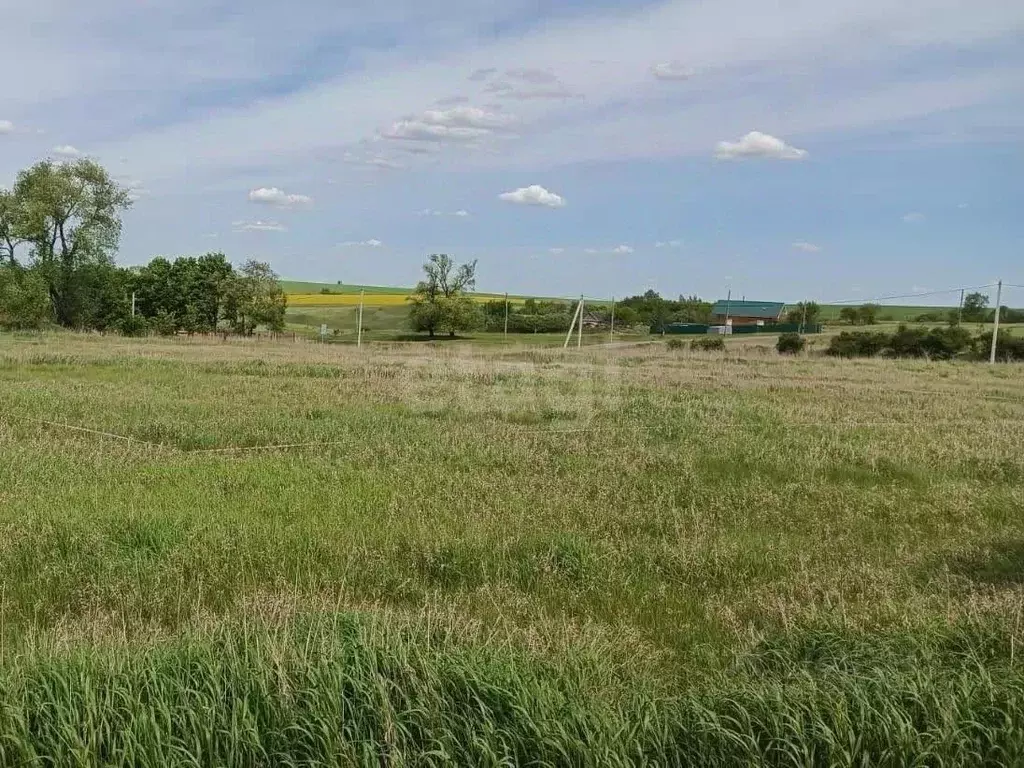 Участок в Тульская область, Новомосковск городской округ, д. Пушкари  ... - Фото 0