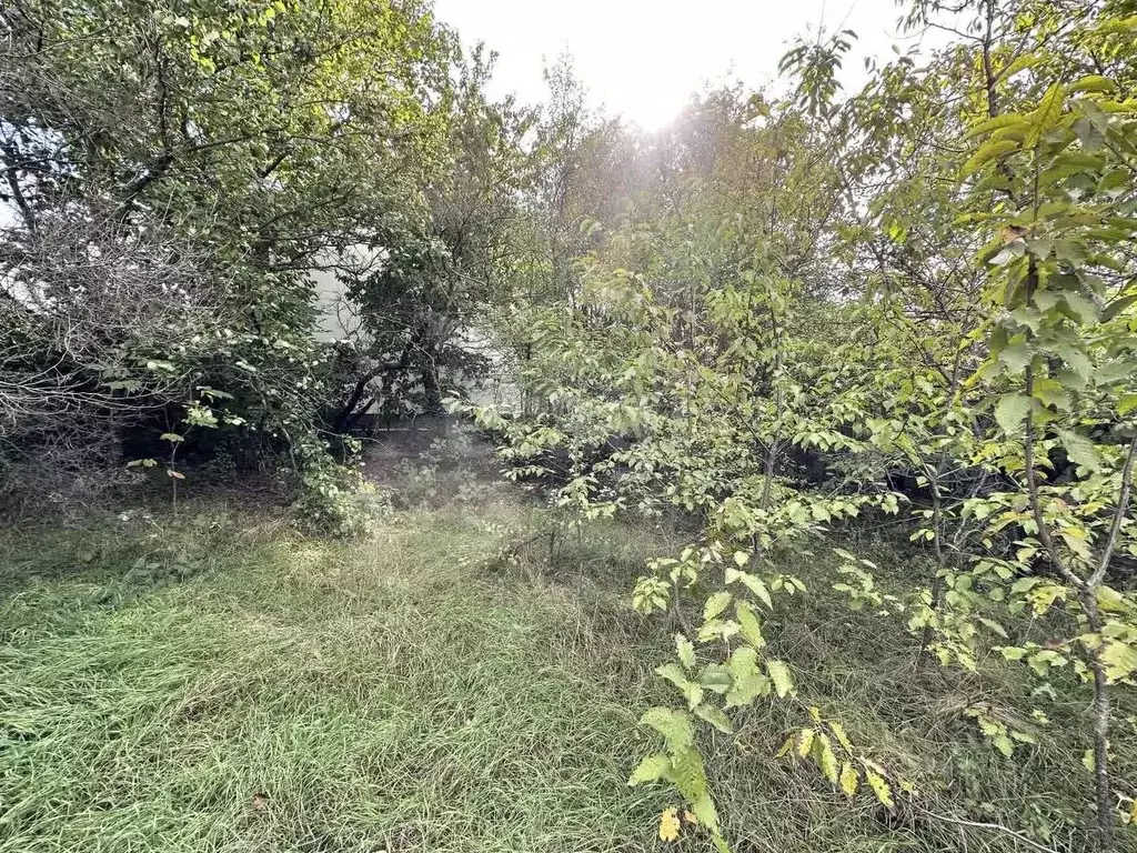 Участок в Крым, Симферопольский район, Мирновское с/пос, Дзержинец ... - Фото 0