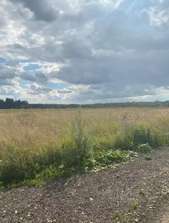 Участок в Московская область, Мытищи городской округ, д. Долгиниха ул. ... - Фото 1