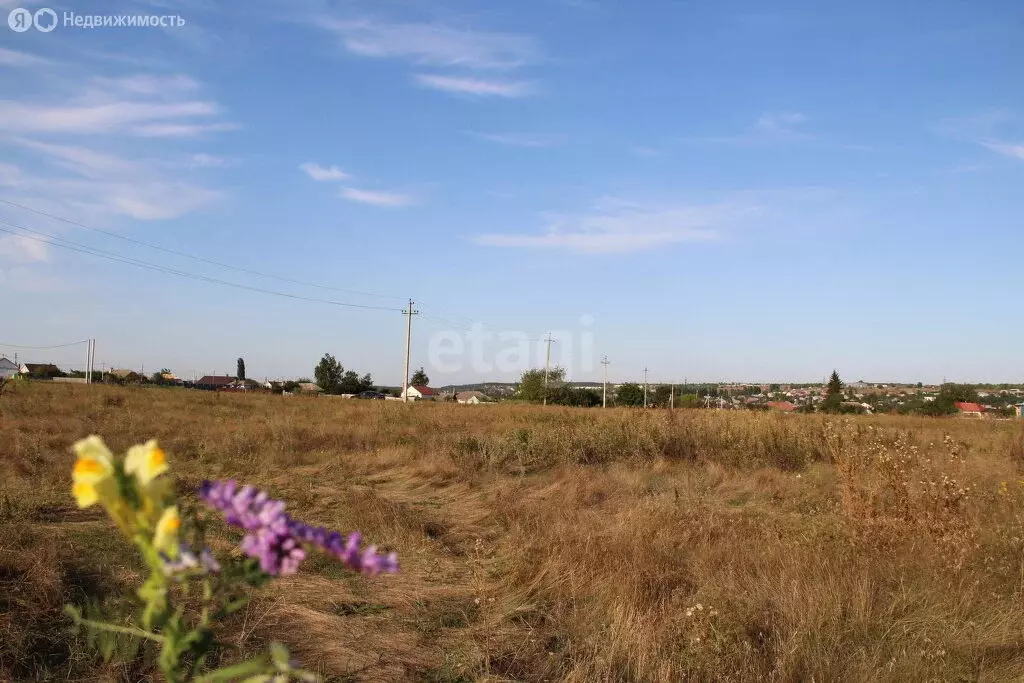 Участок в село Девица, Кольцовская улица (25 м) - Фото 0